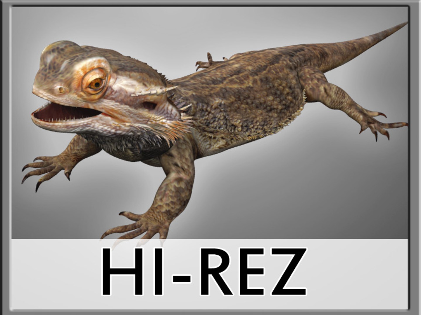 max bearded dragon https://p.turbosquid.com/ts-thumb/GH/mJO1sd/ARDlxvX1/beardie_01/jpg/1304645466/1920x1080/fit_q87/691a1b93f11503a4383e255b83b3f392524b34ad/beardie_01.jpg