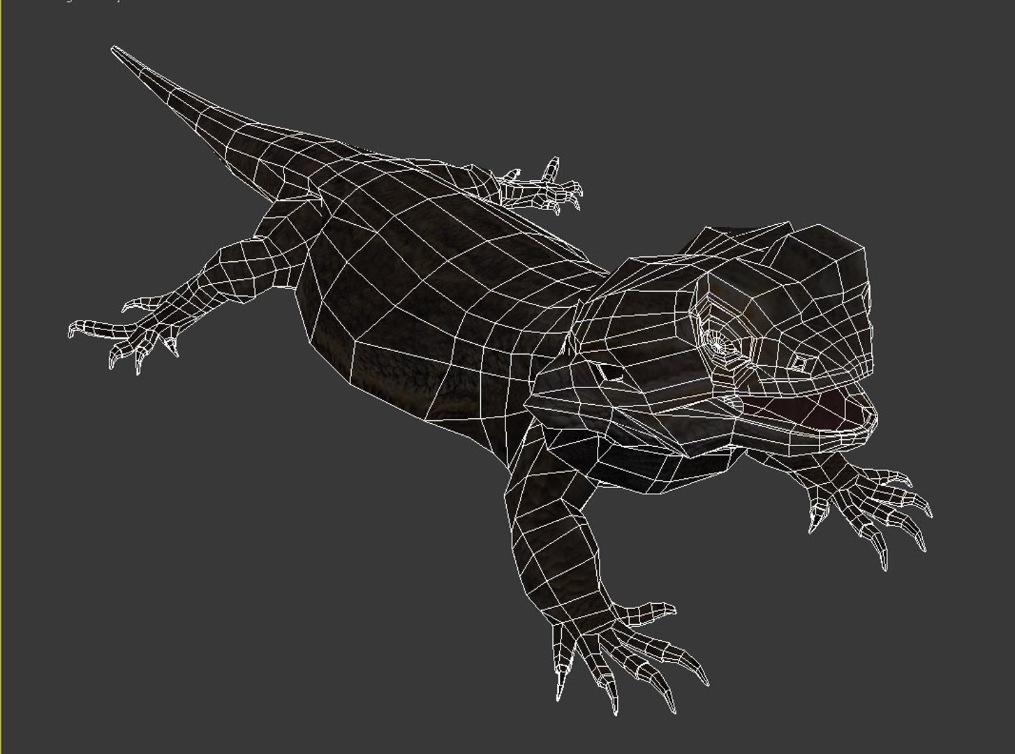 max bearded dragon https://p.turbosquid.com/ts-thumb/GH/mJO1sd/CcELqZtH/wire02/jpg/1304645505/1920x1080/fit_q87/ca0b08017aae02358769d13fce6d7f884231fde6/wire02.jpg