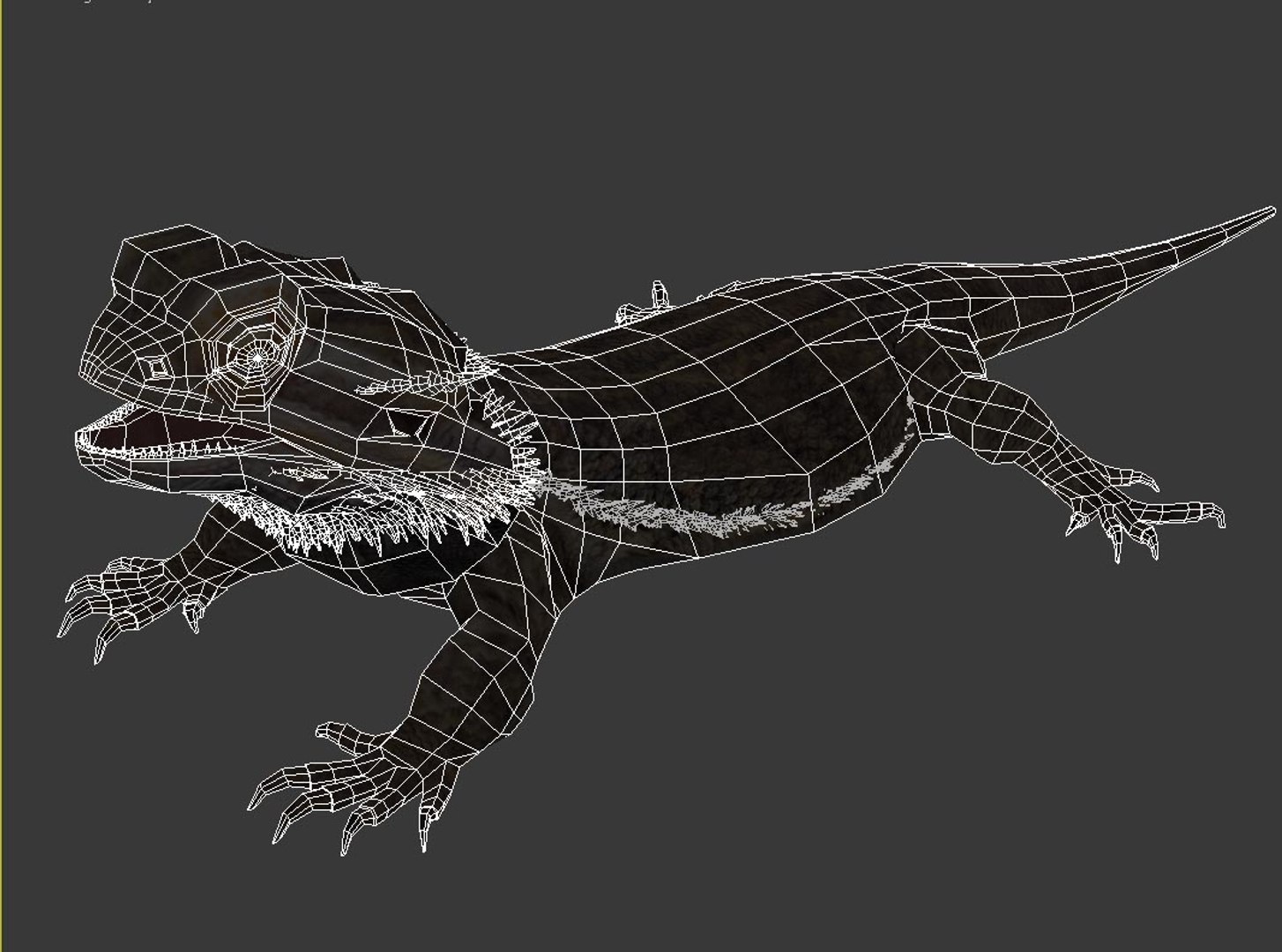 max bearded dragon https://p.turbosquid.com/ts-thumb/GH/mJO1sd/F4ctXWte/wire01/jpg/1304645505/1920x1080/fit_q87/2f6503ad82839c8e2faf0634a9dbf8e849764f06/wire01.jpg
