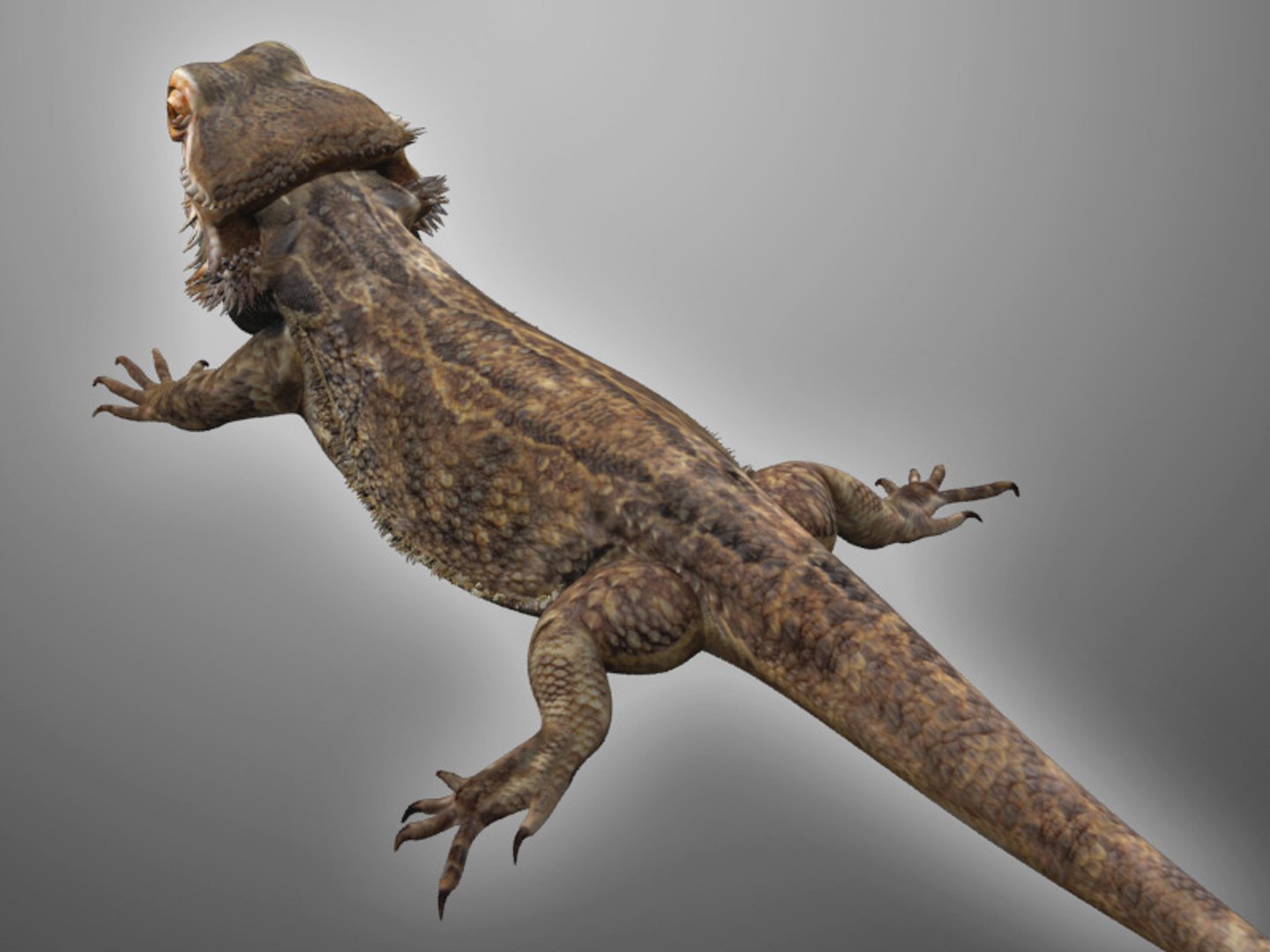 max bearded dragon https://p.turbosquid.com/ts-thumb/GH/mJO1sd/ZV9lSyJG/beardie_04/jpg/1304645505/1920x1080/fit_q87/966a9e7e7253ef2a0877bafaf49ea67c4f58da0f/beardie_04.jpg