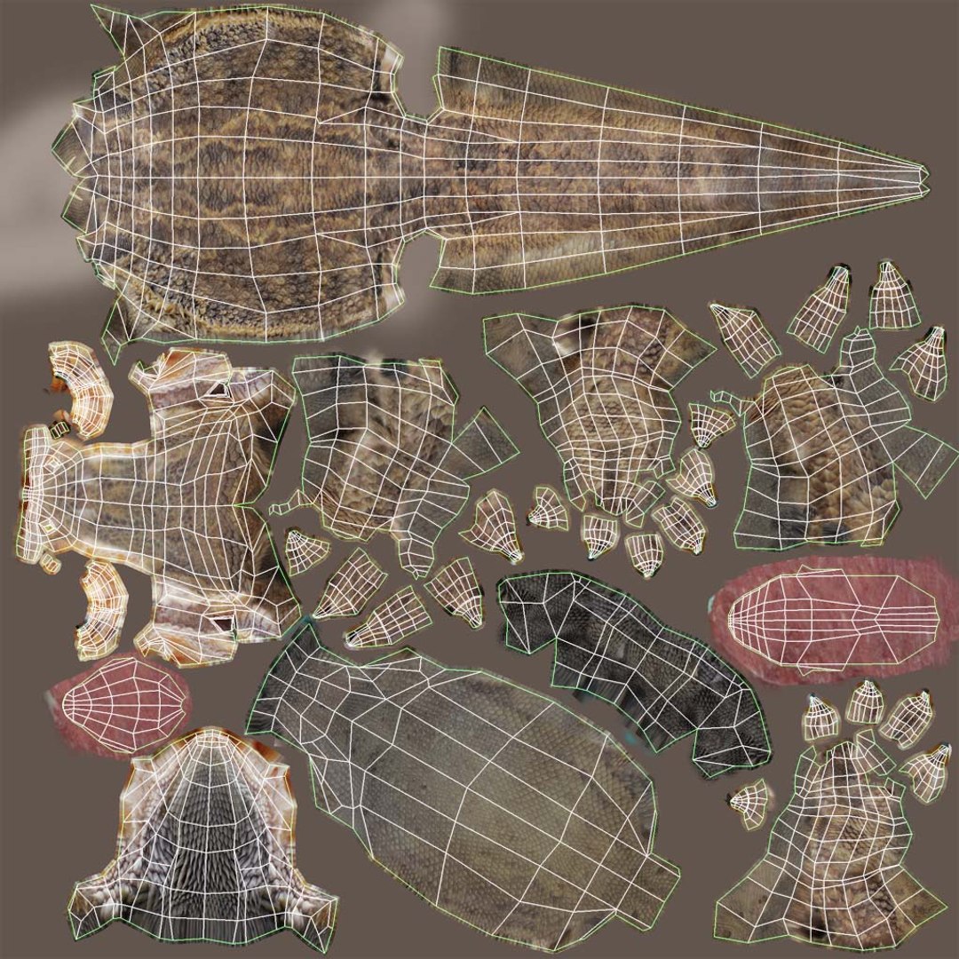 max bearded dragon https://p.turbosquid.com/ts-thumb/GH/mJO1sd/fMVcqzFB/beardie_texture_uvw/jpg/1304645505/1920x1080/fit_q87/c6967eef390dac662ad57c7cfe764bb008de0b36/beardie_texture_uvw.jpg