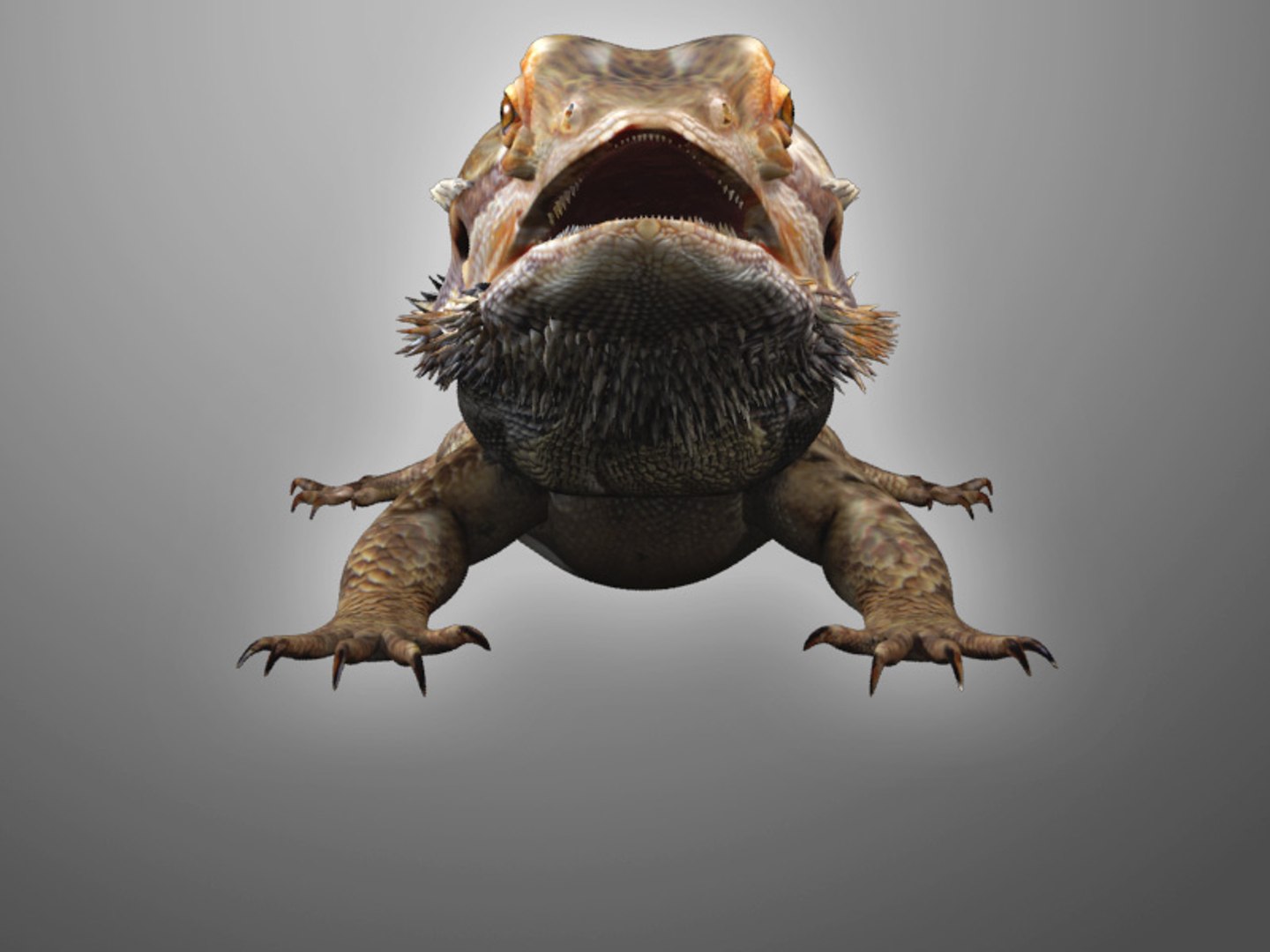 max bearded dragon https://p.turbosquid.com/ts-thumb/GH/mJO1sd/gfCd7pdj/beardie_06/jpg/1304645505/1920x1080/fit_q87/a298b4dc2f989886f904c82374466eb7c3e5ed35/beardie_06.jpg