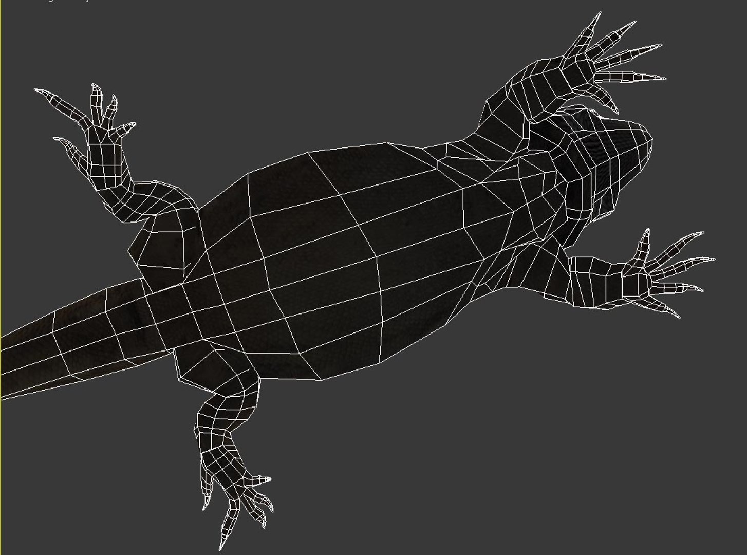 max bearded dragon https://p.turbosquid.com/ts-thumb/GH/mJO1sd/mjWeJinP/wire03/jpg/1304645505/1920x1080/fit_q87/4f2ee8d8226ba1e664872cfa942683ec752db200/wire03.jpg