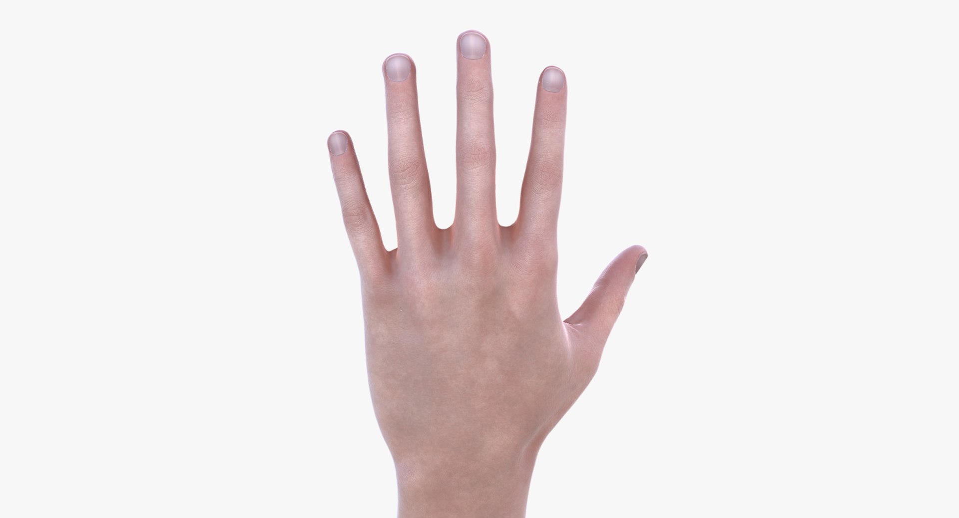 Hand Realistic Model - TurboSquid 1514631