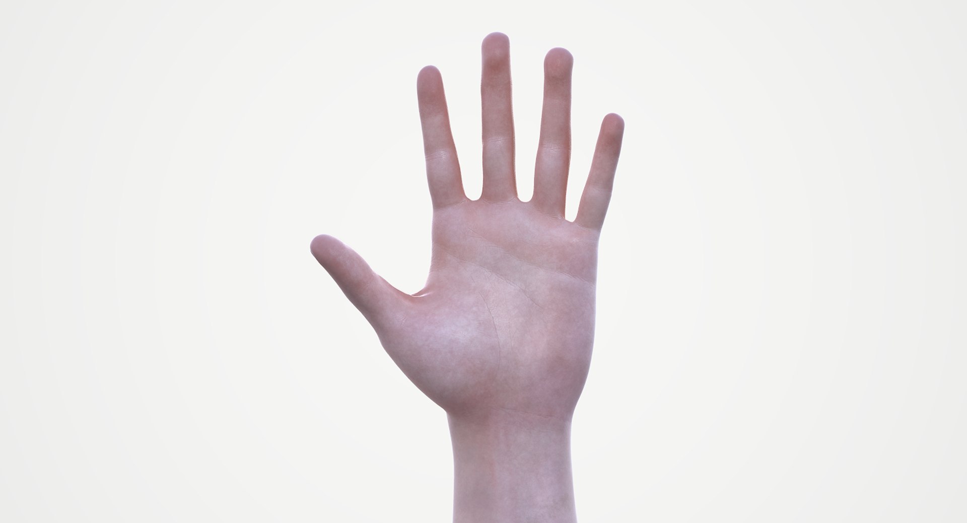 Hand Realistic Model - TurboSquid 1514631