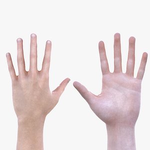 Realistic Hand