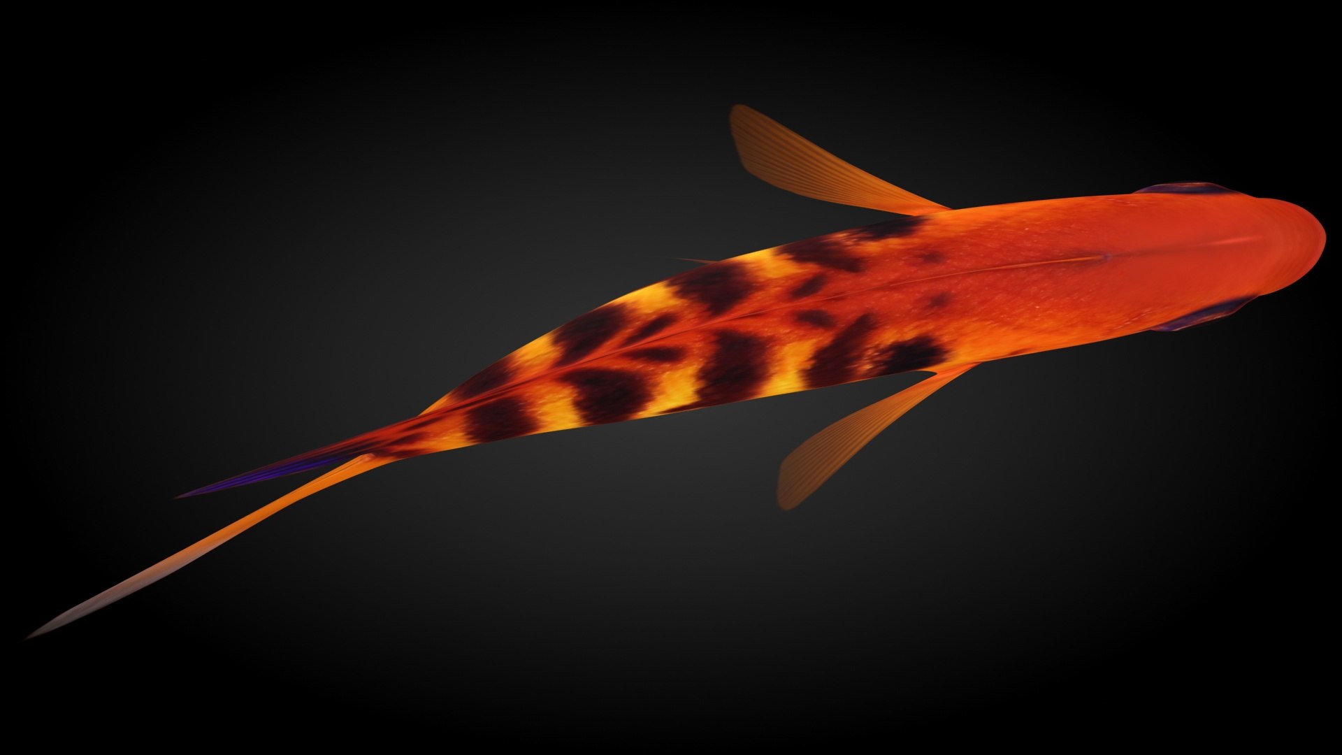Flame Angelfish Animation Model - TurboSquid 1517046