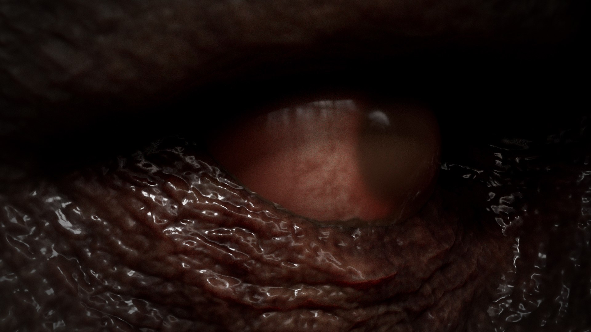 Body Horror Collection 01 3D https://p.turbosquid.com/ts-thumb/GI/62HtFR/JQ/s1/jpg/1741708261/1920x1080/fit_q87/470cc42b36ce2d6111d31ea51e356fe3cf0da122/s1.jpg