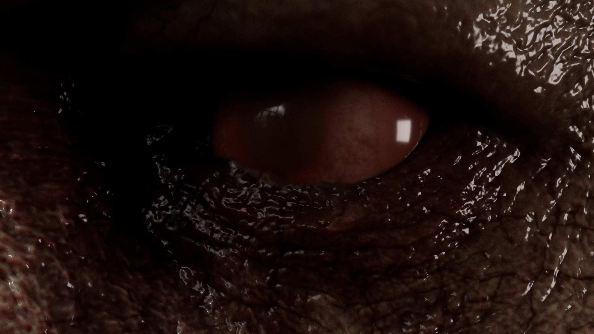 Body Horror Collection 01 3D https://p.turbosquid.com/ts-thumb/GI/62HtFR/LR/s5copy/jpg/1741708261/1920x1080/fit_q87/05cedef321d58194c2332ef57ec44a67aee0d275/s5copy.jpg
