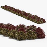 Low Poly Ornamental Shrubs Border Planting Multicolor