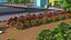 Low Poly Ornamental Shrubs Border Planting Multicolor