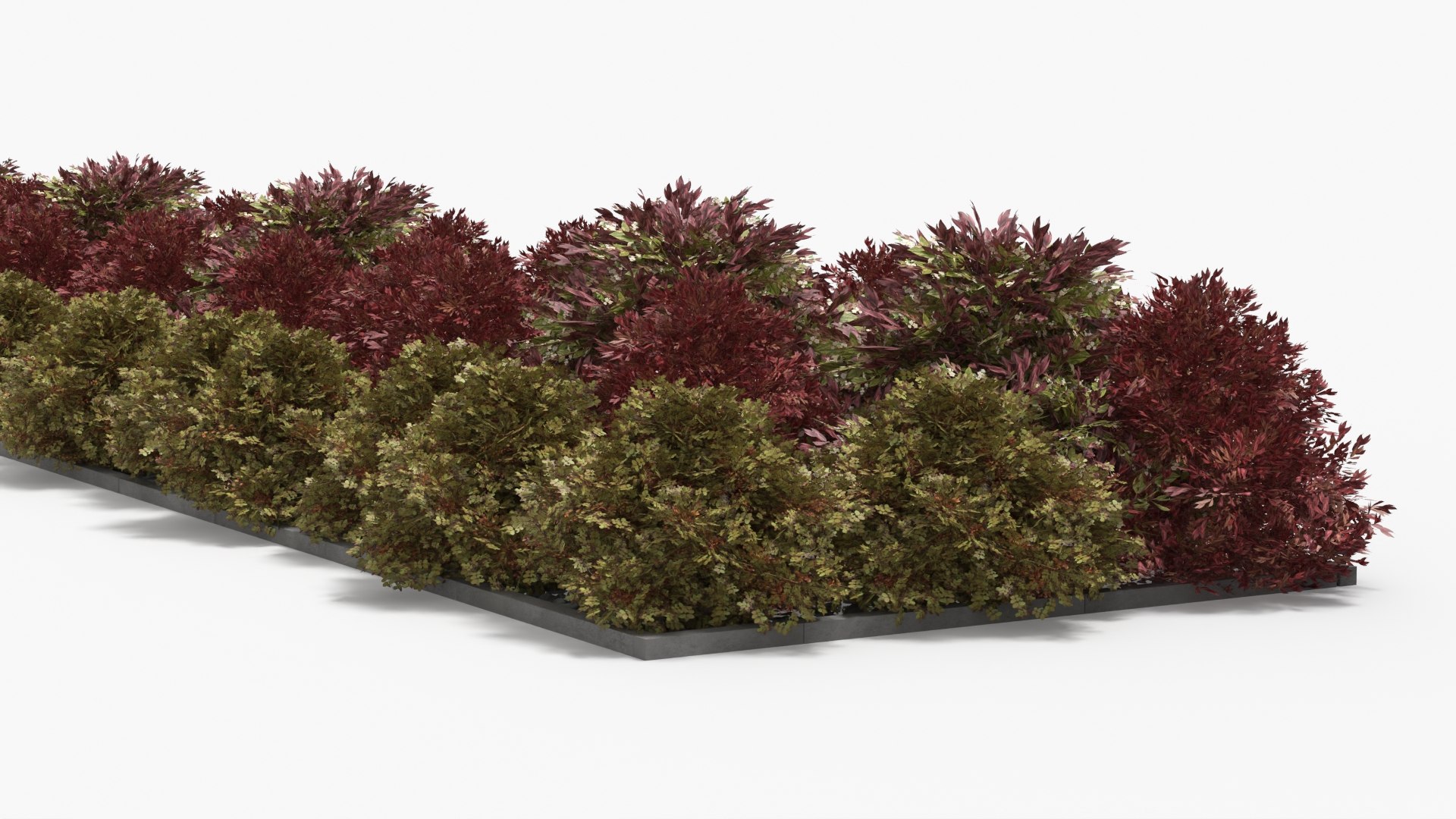 Low Poly Ornamental Shrubs Border Planting Multicolor 3D https://p.turbosquid.com/ts-thumb/GI/9FmyWM/xw/low_poly_ornamental_shrubs_border_planting_multicolor_006/jpg/1782338717/1920x1080/fit_q87/be8dd6e491a85f67cf6934ba1bb6d13a0eeb284a/low_poly_ornamental_shrubs_border_planting_multicolor_006.jpg