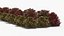 Low Poly Ornamental Shrubs Border Planting Multicolor