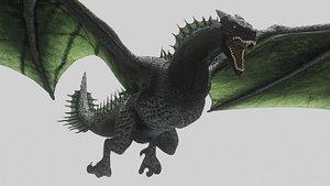 dragon wyvern 3D model