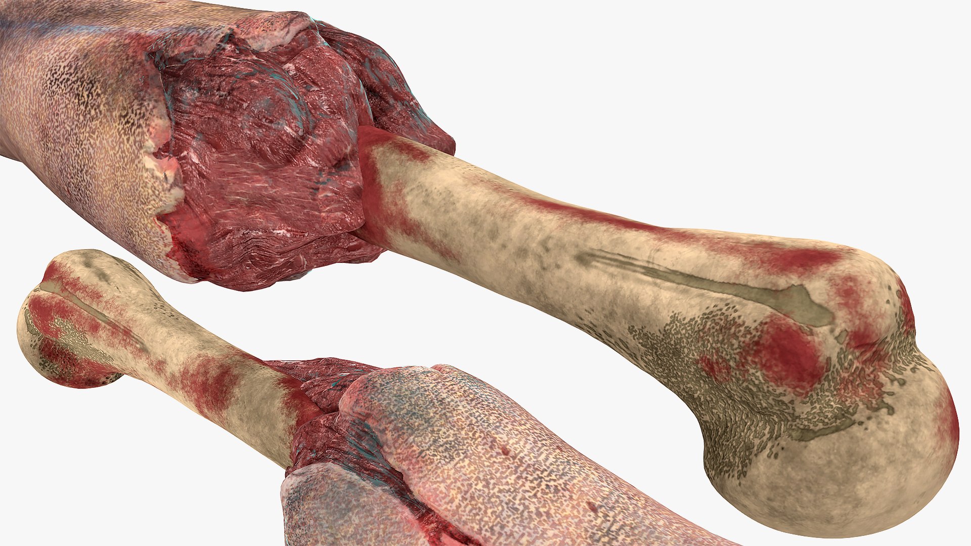3D Zombie Hands Rigged - TurboSquid 1515801