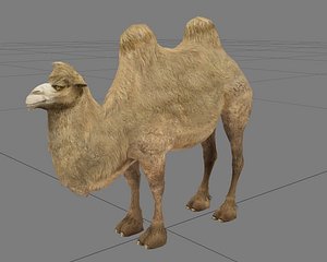 camel 3d max