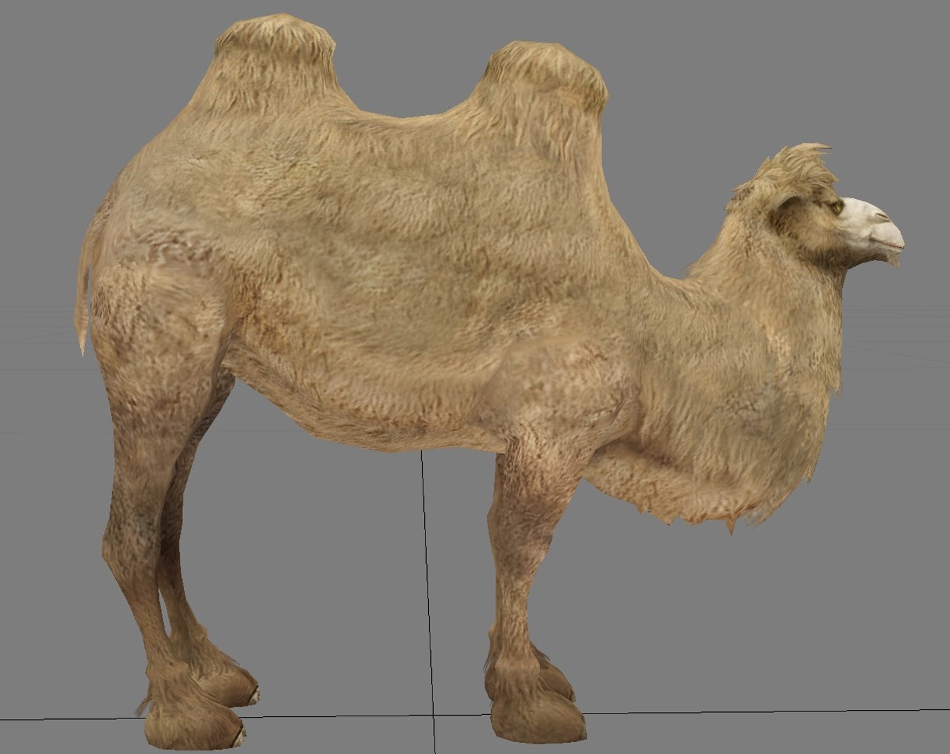 camel 3d max https://p.turbosquid.com/ts-thumb/GI/L87GZz/pHFZ7oLK/3/jpg/1358848536/1920x1080/fit_q87/5d5cb6493bc6127975750422ebb21f17c5402be5/3.jpg