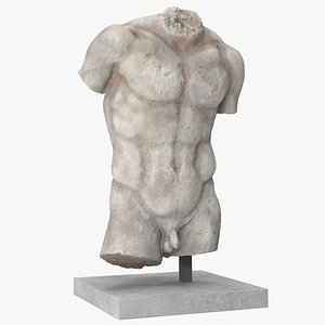 3D man torso model