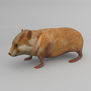 Hamster Rigged and Low Poly