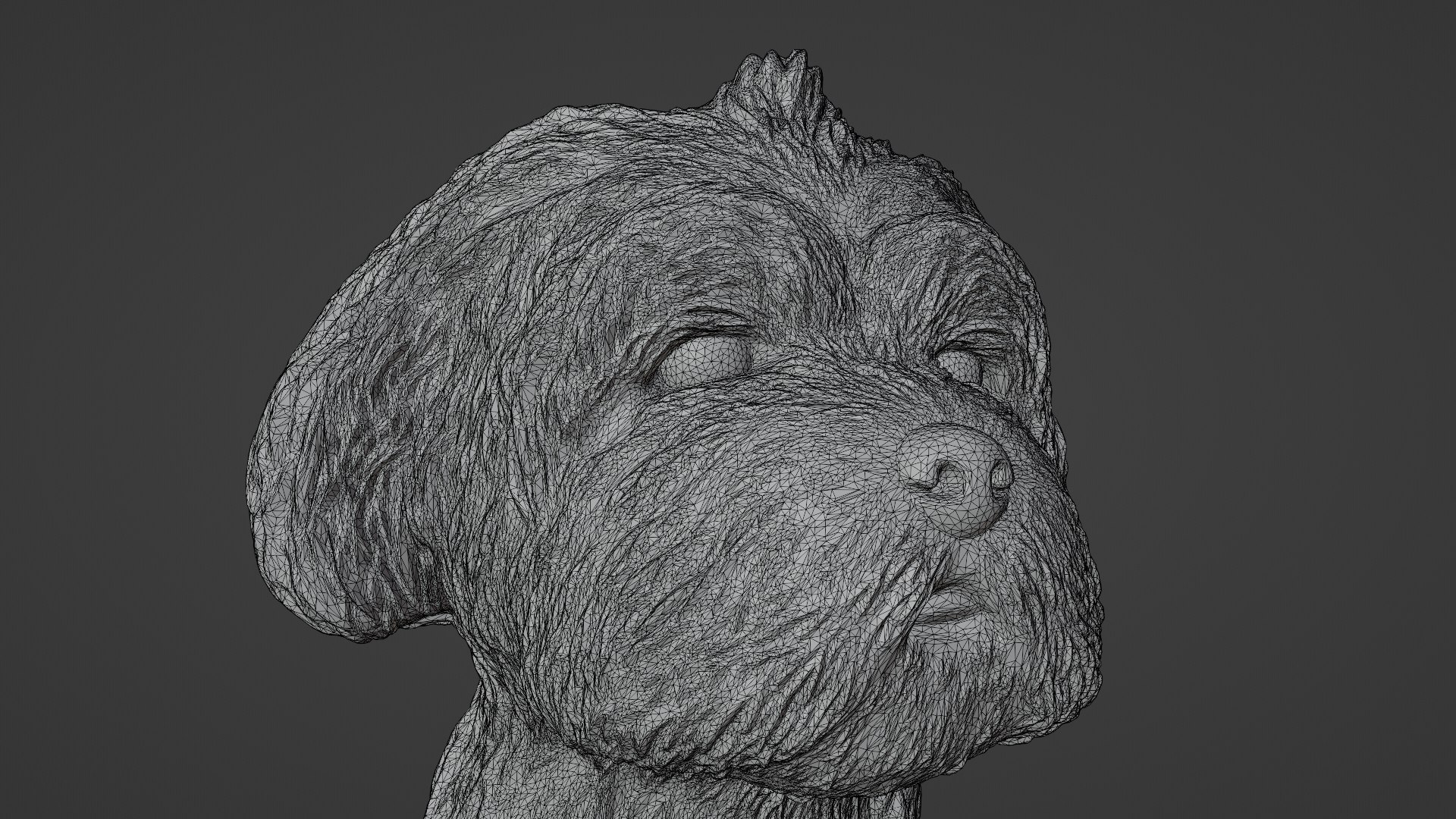 3D Shih Tzu 3D Model https://p.turbosquid.com/ts-thumb/GI/k4SqYs/CK/wire/png/1703949557/1920x1080/fit_q87/5310d0067e5a68298b2839fa28664b92f945b3e5/wire.jpg