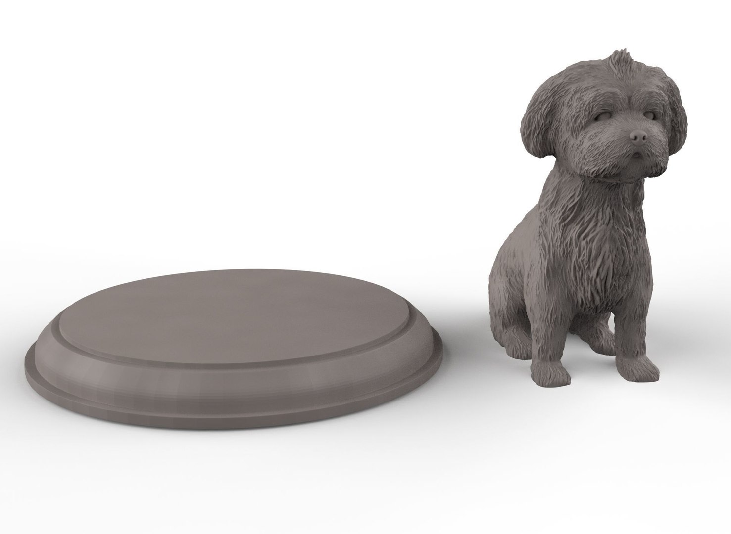 3D Shih Tzu 3D Model https://p.turbosquid.com/ts-thumb/GI/k4SqYs/JI/5/jpg/1703949554/1920x1080/fit_q87/b618d77a6538471009778fe031a71c02170243f9/5.jpg