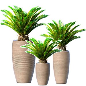 3D Decorative evergreen Cycas palm modern high floor vase Art Deco