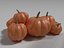 Calabaza