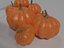 Calabaza