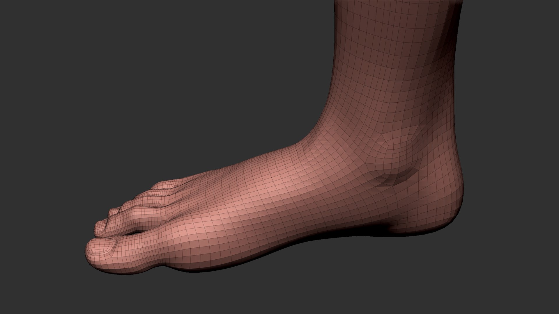 Foot Realistic Arnold model https://p.turbosquid.com/ts-thumb/GJ/0MLpCK/0d/112_2/jpg/1623515788/1920x1080/fit_q87/786f3d2a364cfe3d4054acedc5aa8b916839def5/112_2.jpg