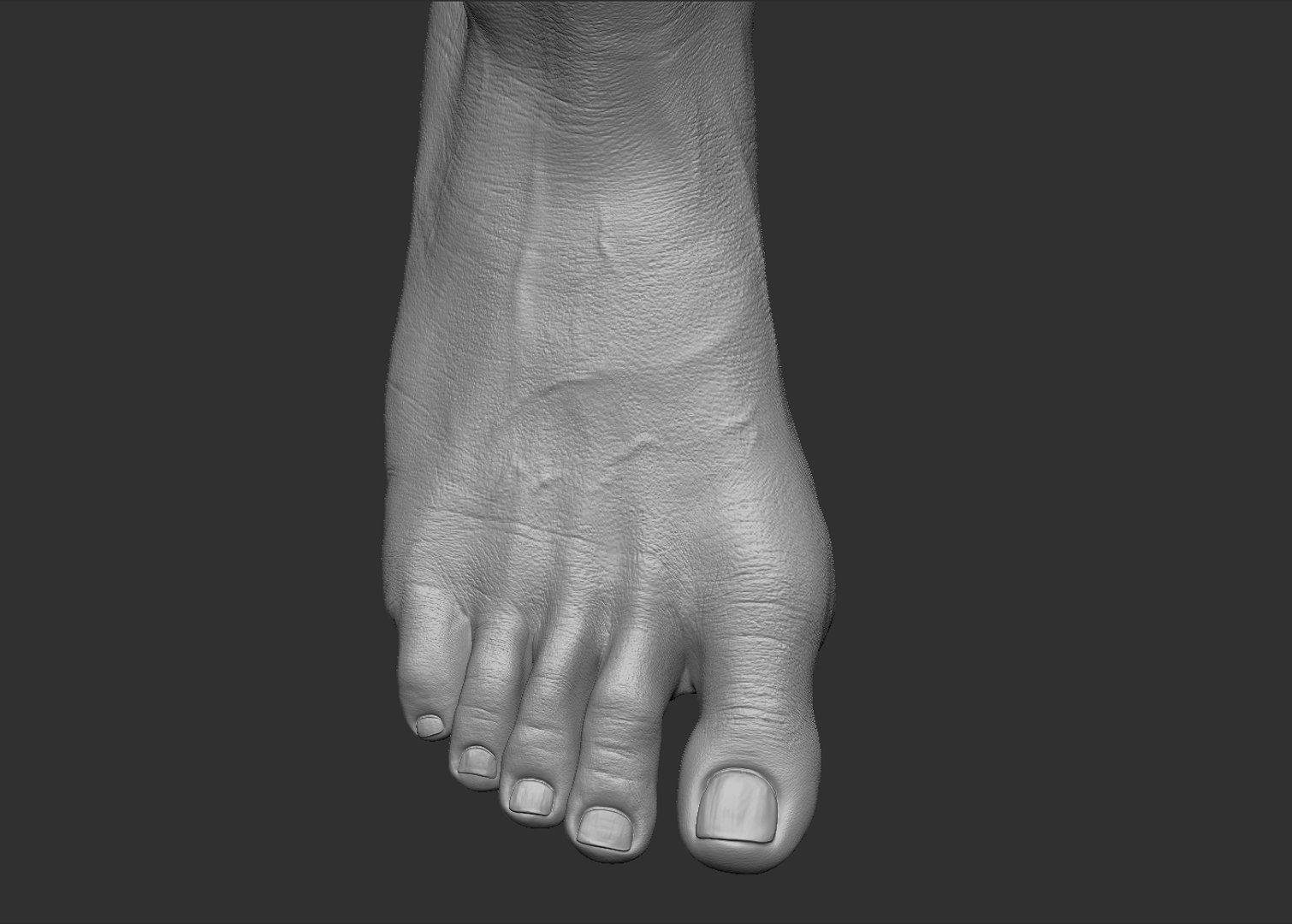 Foot Realistic Arnold model https://p.turbosquid.com/ts-thumb/GJ/0MLpCK/4B/47/jpg/1623515770/1920x1080/fit_q87/60e0f287d16a31147cf724a64a94339072f65249/47.jpg