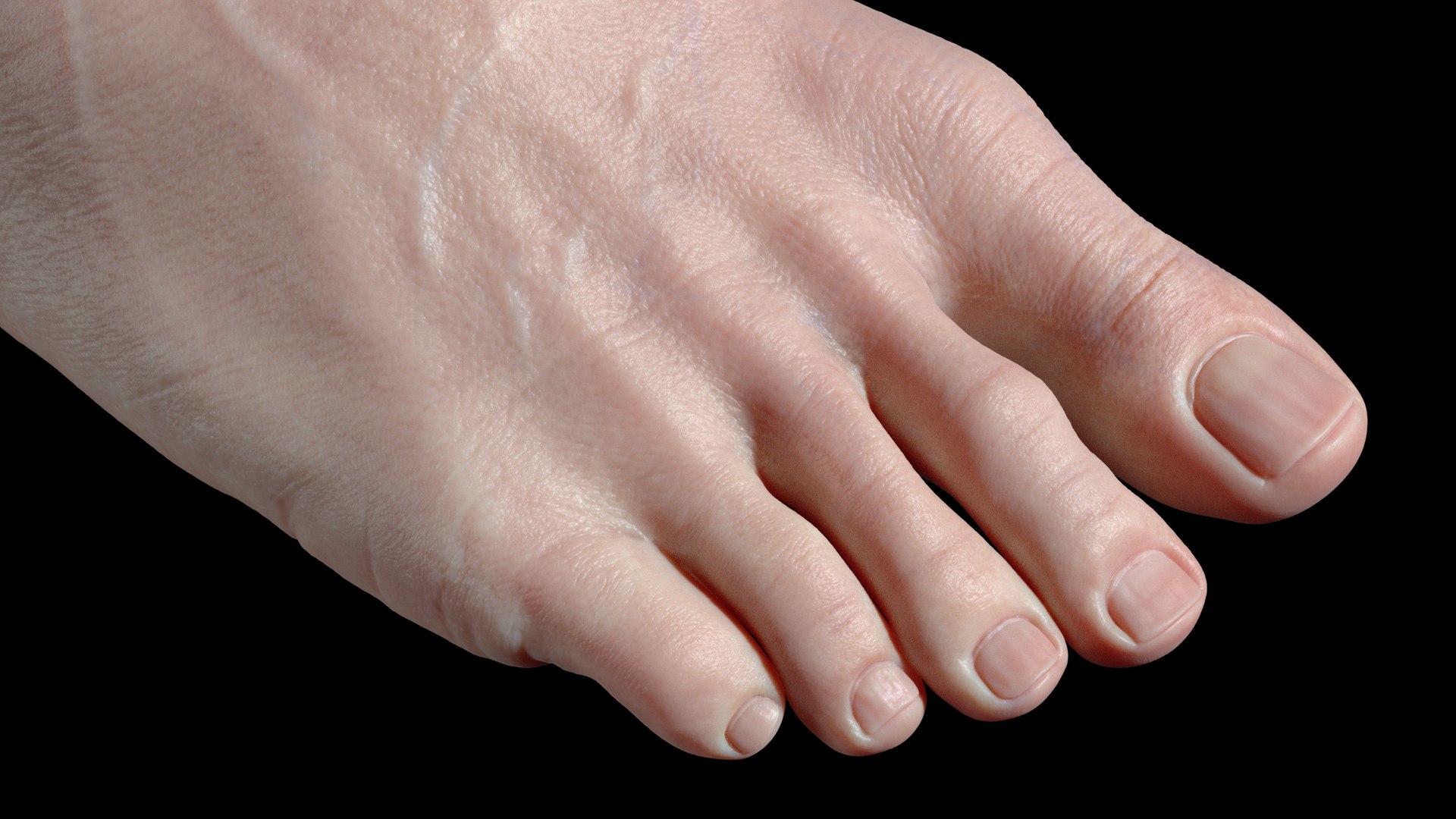 Foot Realistic Arnold model https://p.turbosquid.com/ts-thumb/GJ/0MLpCK/5K/images3/jpg/1623515437/1920x1080/fit_q87/2726273fb423d5e0cefdb8a686fe289f4170152a/images3.jpg