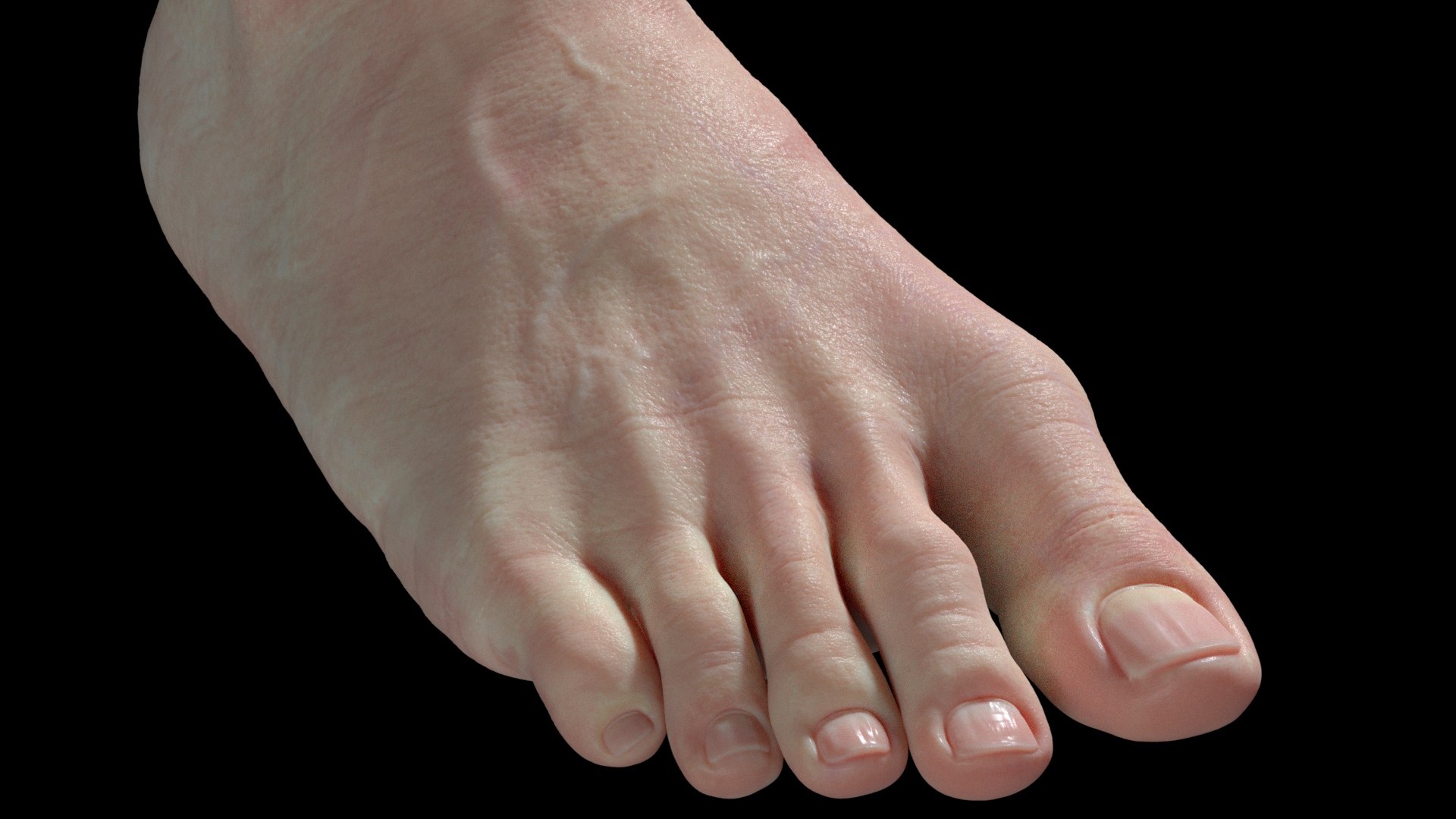 Foot Realistic Arnold model https://p.turbosquid.com/ts-thumb/GJ/0MLpCK/Lc/ggg1/jpg/1623518743/1920x1080/fit_q87/eda9fb4224186f5a103176ac018c1bbc27e2cd48/ggg1.jpg