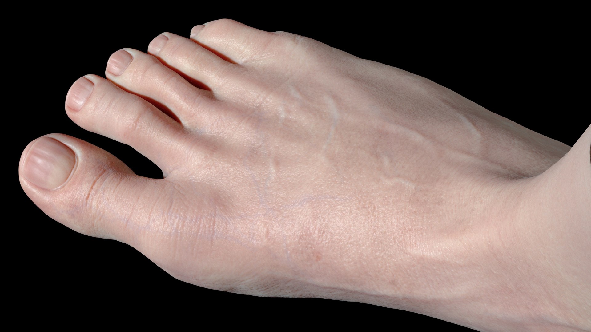 Foot Realistic Arnold model https://p.turbosquid.com/ts-thumb/GJ/0MLpCK/UA/images4/jpg/1623515436/1920x1080/fit_q87/6d9685a7e4e5833ce7b3f6aeb86e369cc5153fd6/images4.jpg