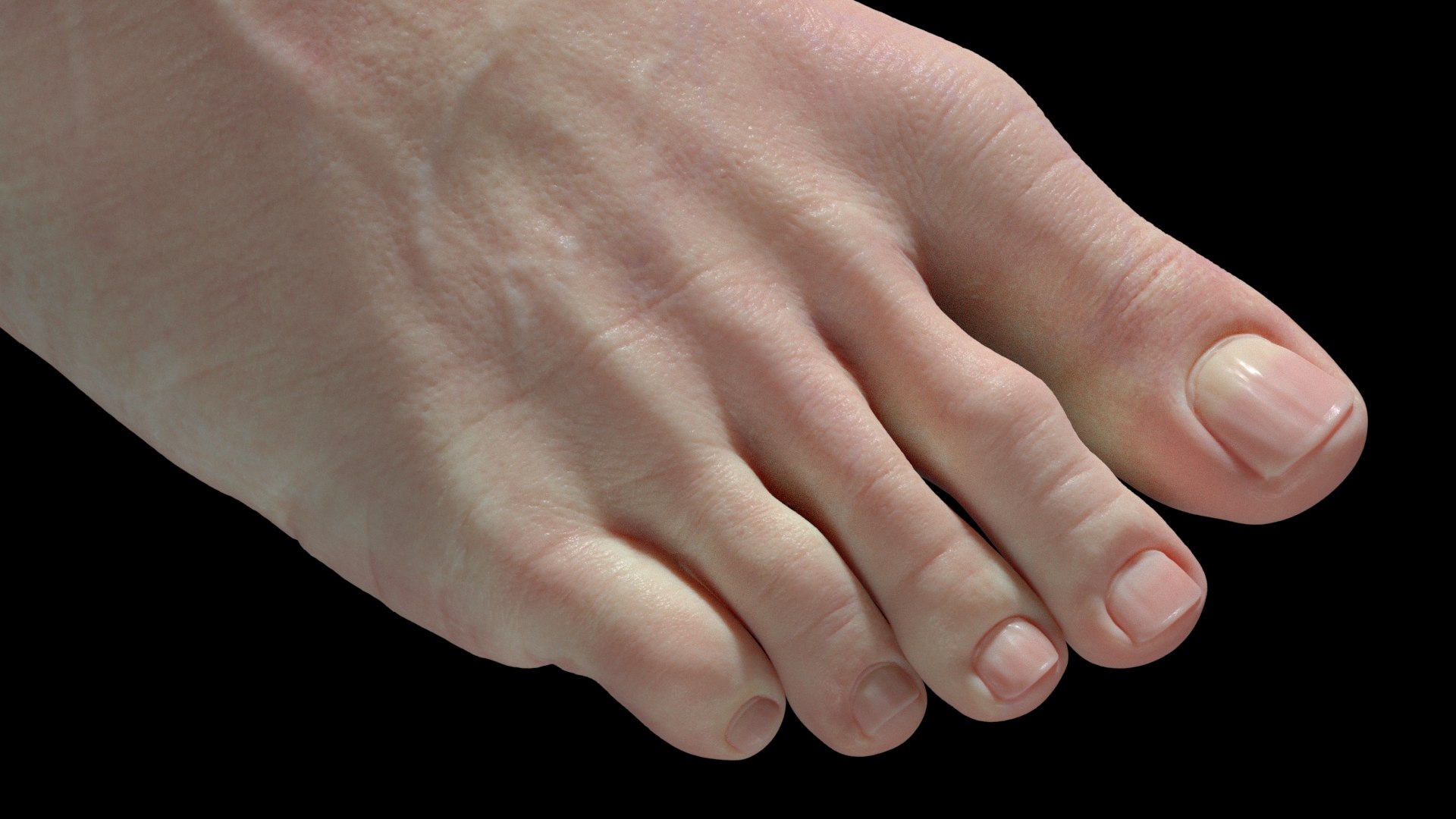 Foot Realistic Arnold model https://p.turbosquid.com/ts-thumb/GJ/0MLpCK/cz/ggg3/jpg/1623518743/1920x1080/fit_q87/ea825f8f82acfb4dff80aee822c5058653baa327/ggg3.jpg