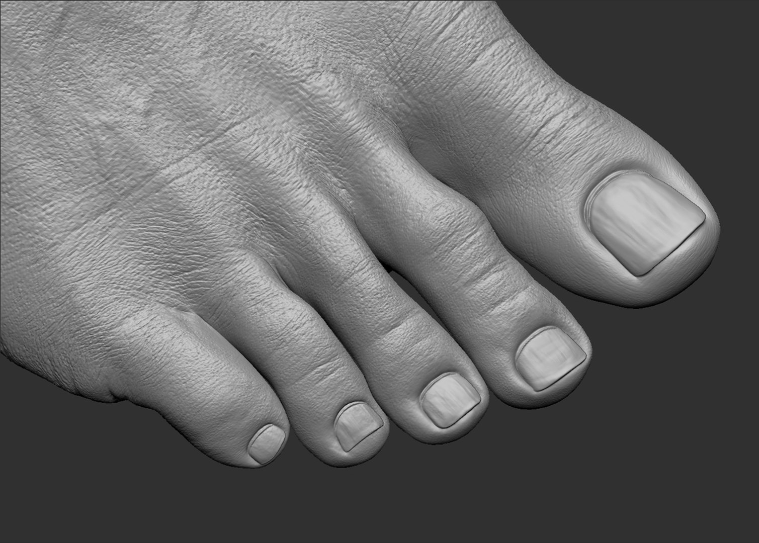 Foot Realistic Arnold model https://p.turbosquid.com/ts-thumb/GJ/0MLpCK/g7/37/jpg/1623515762/1920x1080/fit_q87/d1e20073416742e989e8111c644b0404c3896cc0/37.jpg