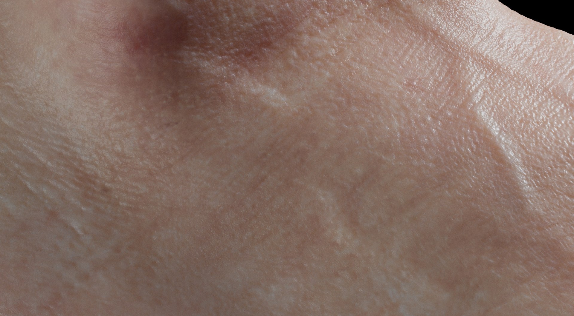 Foot Realistic Arnold model https://p.turbosquid.com/ts-thumb/GJ/0MLpCK/kW/9_crop/jpg/1623515477/1920x1080/fit_q87/8cf677c9eee4355eff483b1ba5147a3cb63a5c0a/9_crop.jpg