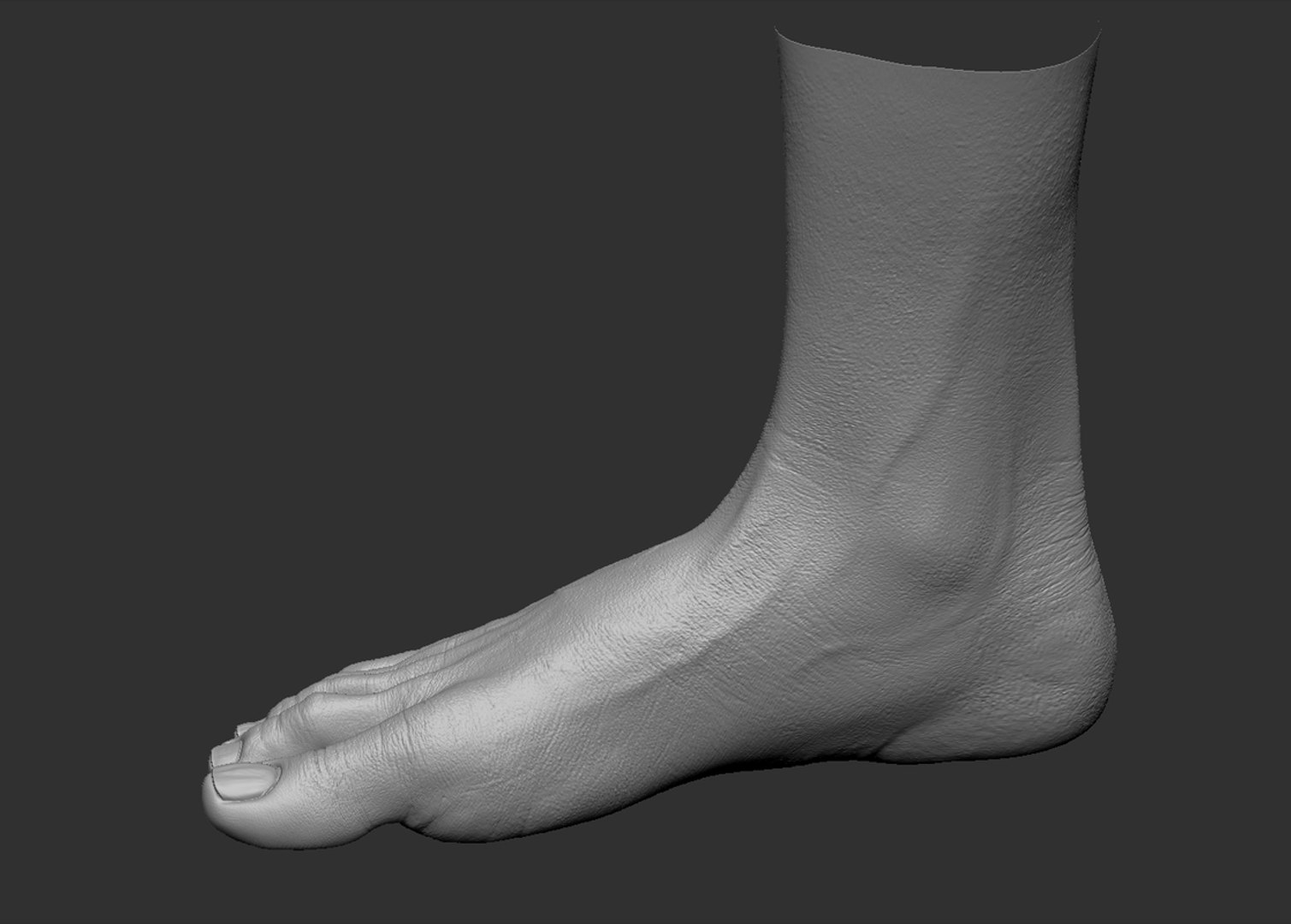 Foot Realistic Arnold model https://p.turbosquid.com/ts-thumb/GJ/0MLpCK/og/44/jpg/1623515763/1920x1080/fit_q87/b86ec60d8661b7c743e713b9a6fd1d6a44bfea87/44.jpg
