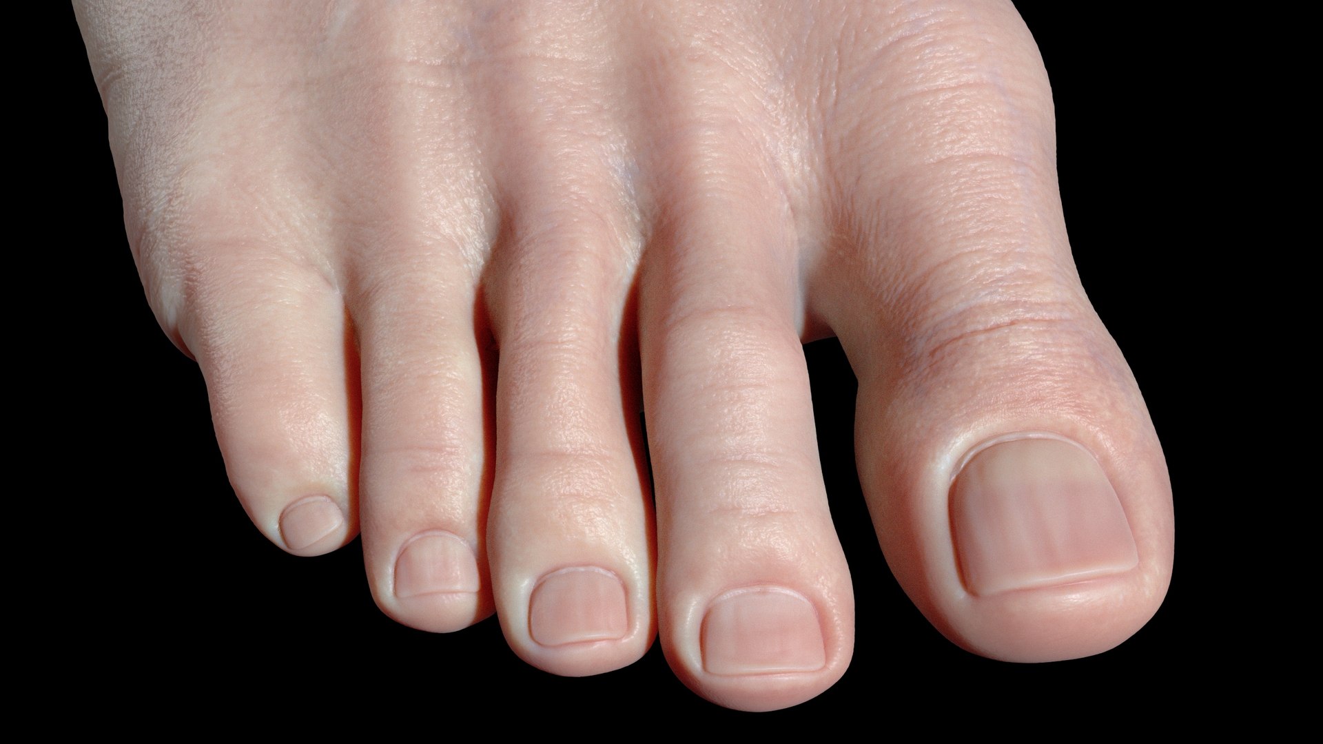 Foot Realistic Arnold model https://p.turbosquid.com/ts-thumb/GJ/0MLpCK/rl/images5/jpg/1623515436/1920x1080/fit_q87/1f7c313eb193bb0ec6cabbf02b59d4f851ae40a1/images5.jpg