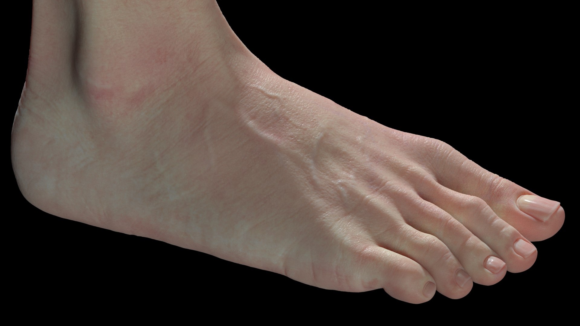Foot Realistic Arnold model https://p.turbosquid.com/ts-thumb/GJ/0MLpCK/yh/ggg2/jpg/1623518743/1920x1080/fit_q87/2b382d0750ff332408935886bab5b1c9f24736e9/ggg2.jpg