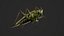Katydid Grasshopper Locust Bush-Cricket 3D
