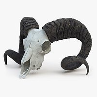 Ram Skull with Twisted Horns Black