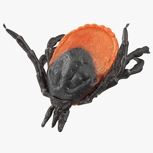 Tick Bite Pose Fur