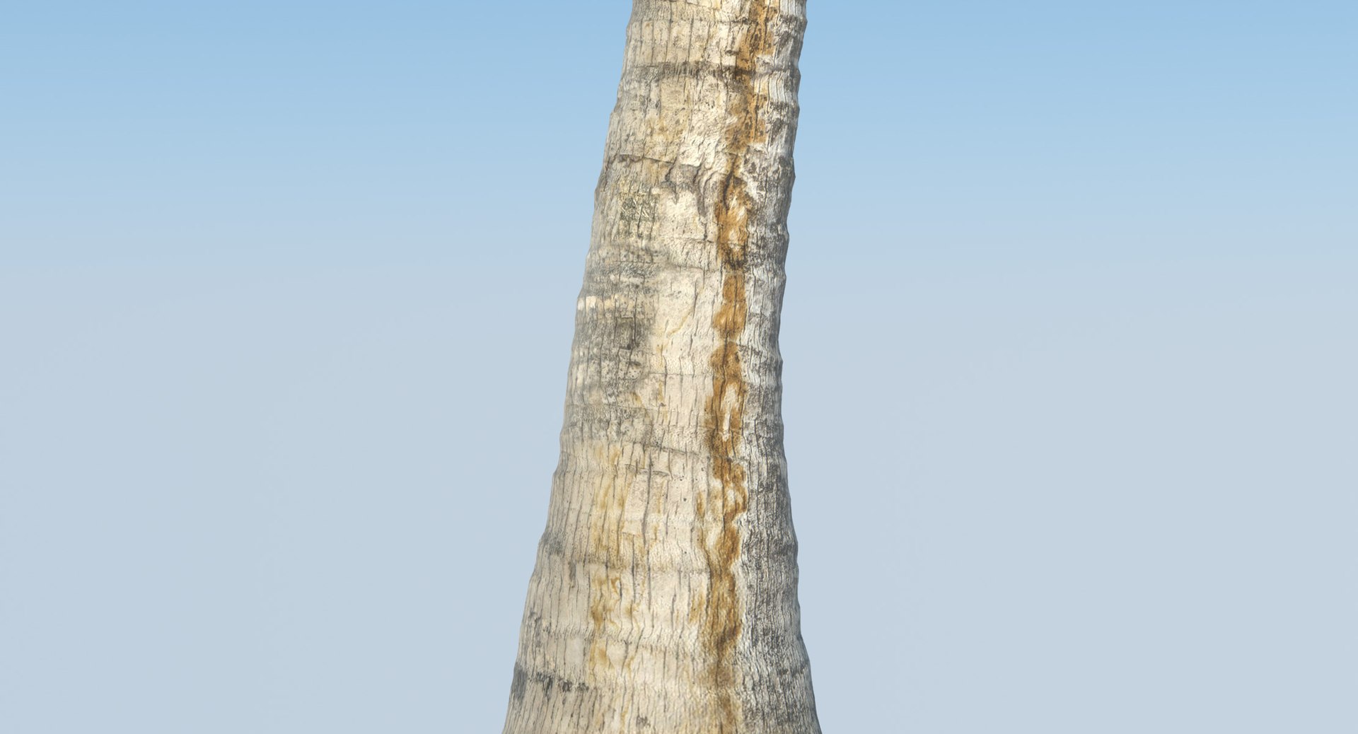 coconut palm trees 3D model https://p.turbosquid.com/ts-thumb/GJ/Hym1Sy/BPW97bCK/details.0003/jpg/1510414822/1920x1080/fit_q87/4c06794db4a8642ca49f3d7581a1d24ce4eae6bc/details.0003.jpg