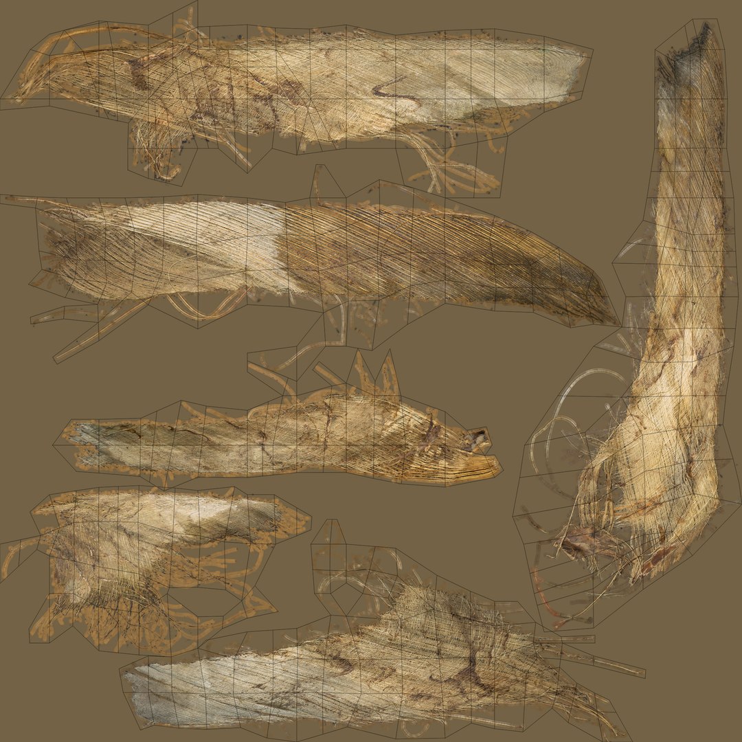 coconut palm trees 3D model https://p.turbosquid.com/ts-thumb/GJ/Hym1Sy/WGRecchN/fibrescolor/jpg/1510415133/1920x1080/fit_q87/cab126df684b869fe1d78552ef9fa110adafe212/fibrescolor.jpg