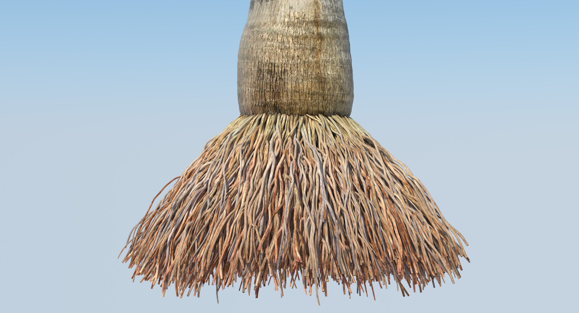 coconut palm trees 3D model https://p.turbosquid.com/ts-thumb/GJ/Hym1Sy/ZKglCgjR/details.0002/jpg/1510414822/1920x1080/fit_q87/314516b16c4579b4ed27033d06486483e6f5b21a/details.0002.jpg