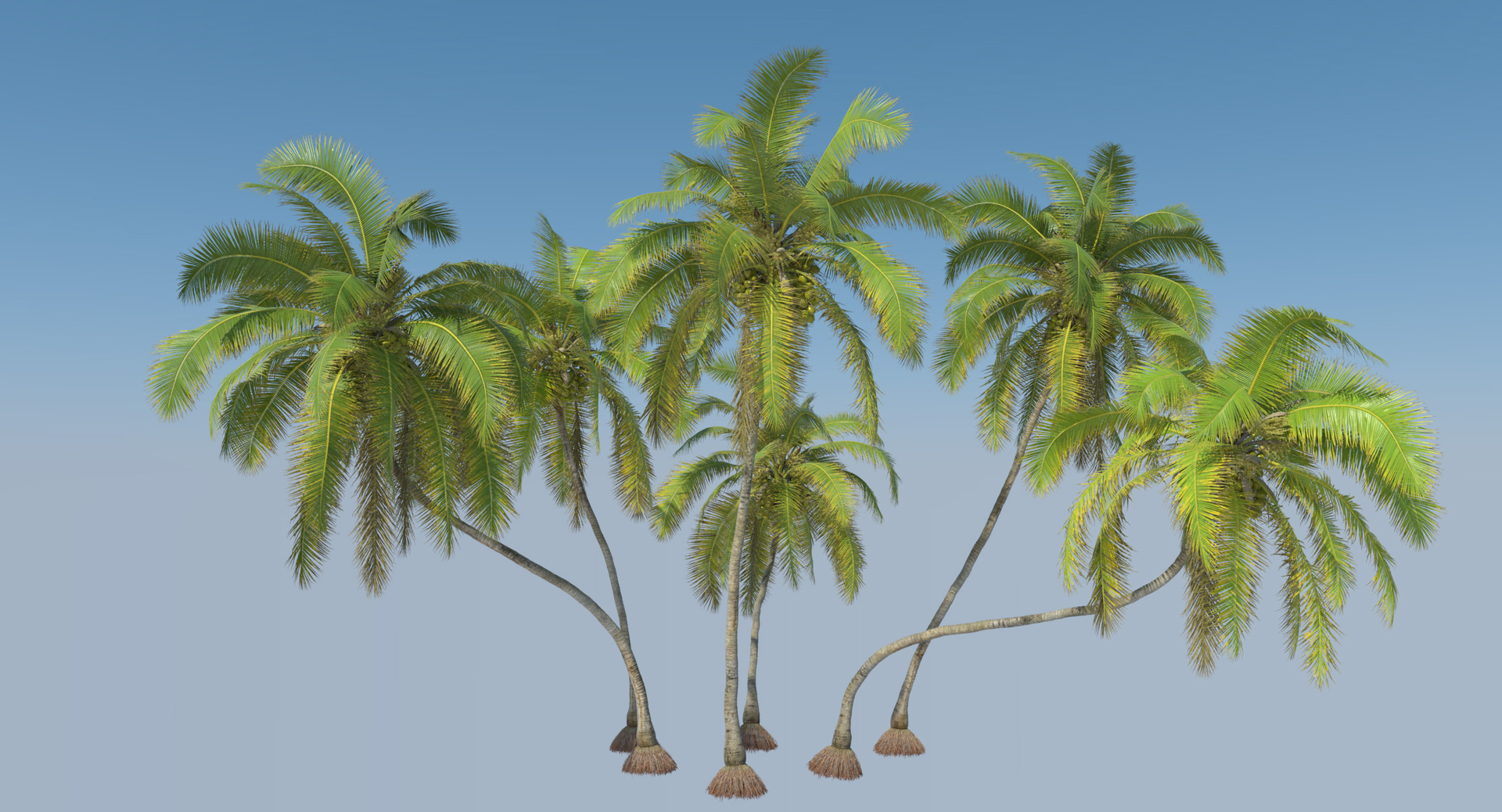 coconut palm trees 3D model https://p.turbosquid.com/ts-thumb/GJ/Hym1Sy/bglLw7s2/palmturntable/jpg/1510415404/1920x1080/turn_fit_q99/77b689e6bb383956a8e0a0a6df1462b4bb33c138/palmturntable-1.jpg
