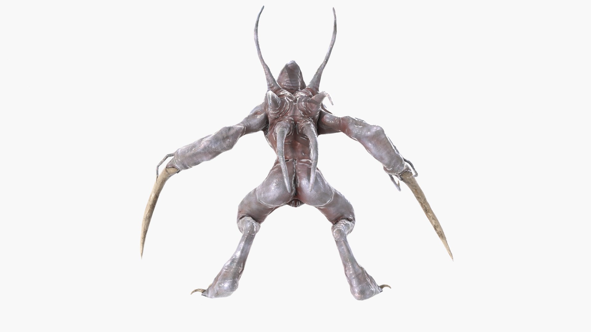 3D agile alien monster creature https://p.turbosquid.com/ts-thumb/GJ/KTDu8n/hY/sf_aa_c_42/jpg/1622262142/1920x1080/fit_q87/b4afc10628b747b7ef6588e920cd8170332a33f7/sf_aa_c_42.jpg