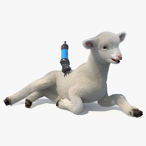 Electric Sheep Shears During Use on Lamb Fur