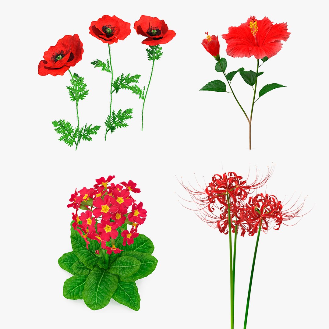 Red Flowering Plants Collection 2 3D model preview