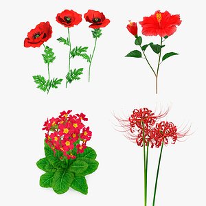 3D Red Flowering Plants Collection 2 model
